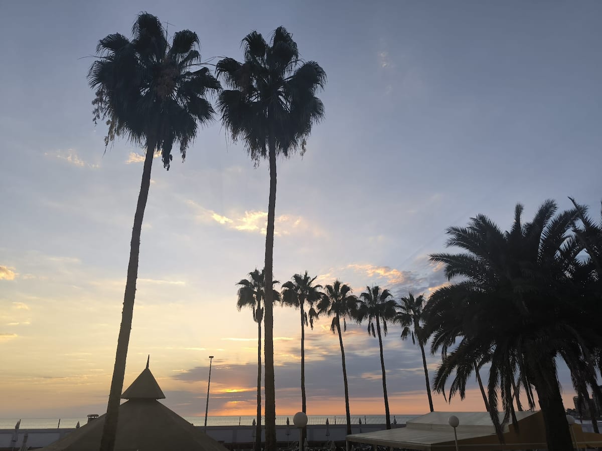 Palm trees and the Atlantic at sunset in Patalavaca